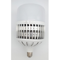 Dusel 80w 6500K E27