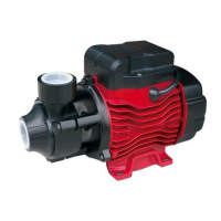 Насос поверхностный EPA EVN-QB60-3